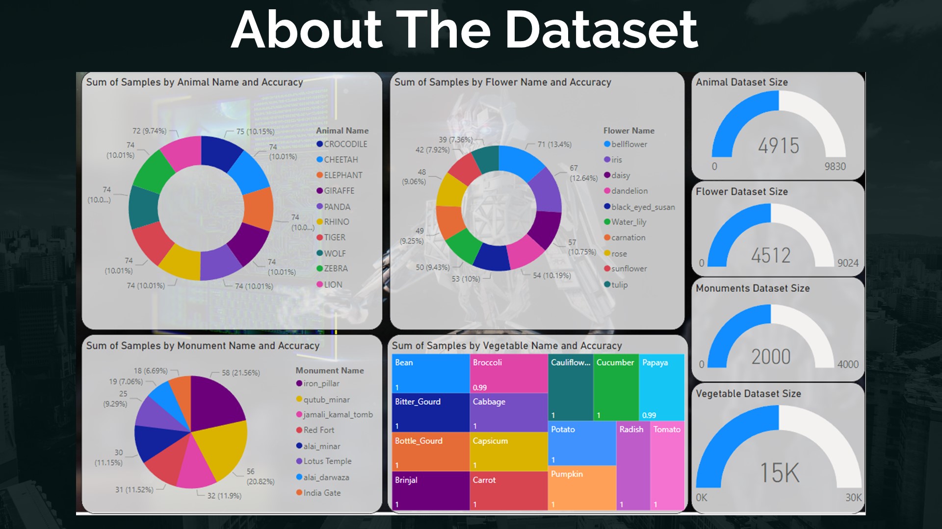 About Dataset